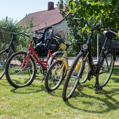 לינה וארוחת בוקר Pelso Panzio 4*